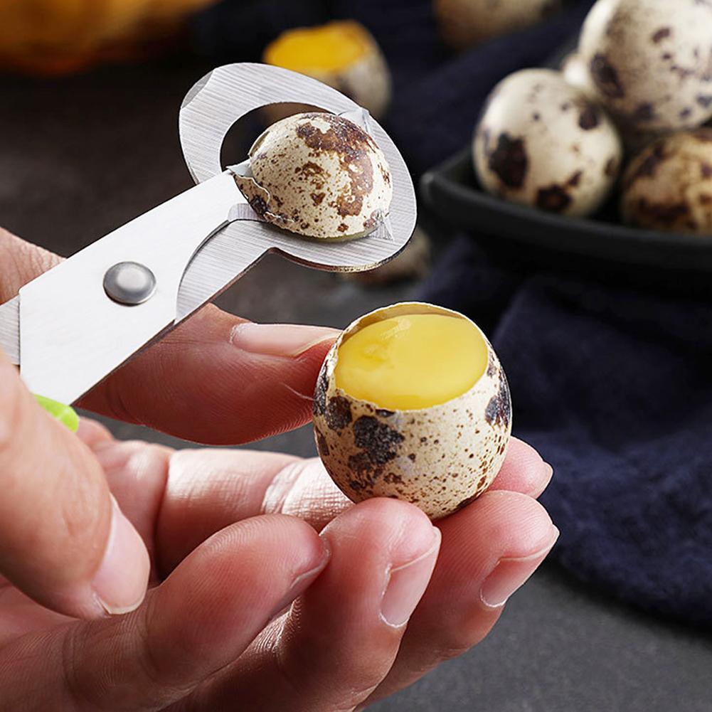 Голубь, перепел, открытая трещ – обзор и цена Egg Separator Tool
