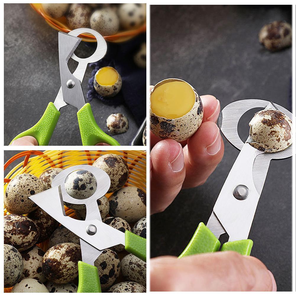 Голубь, перепел, открытая трещ – обзор и цена Egg Separator Tool