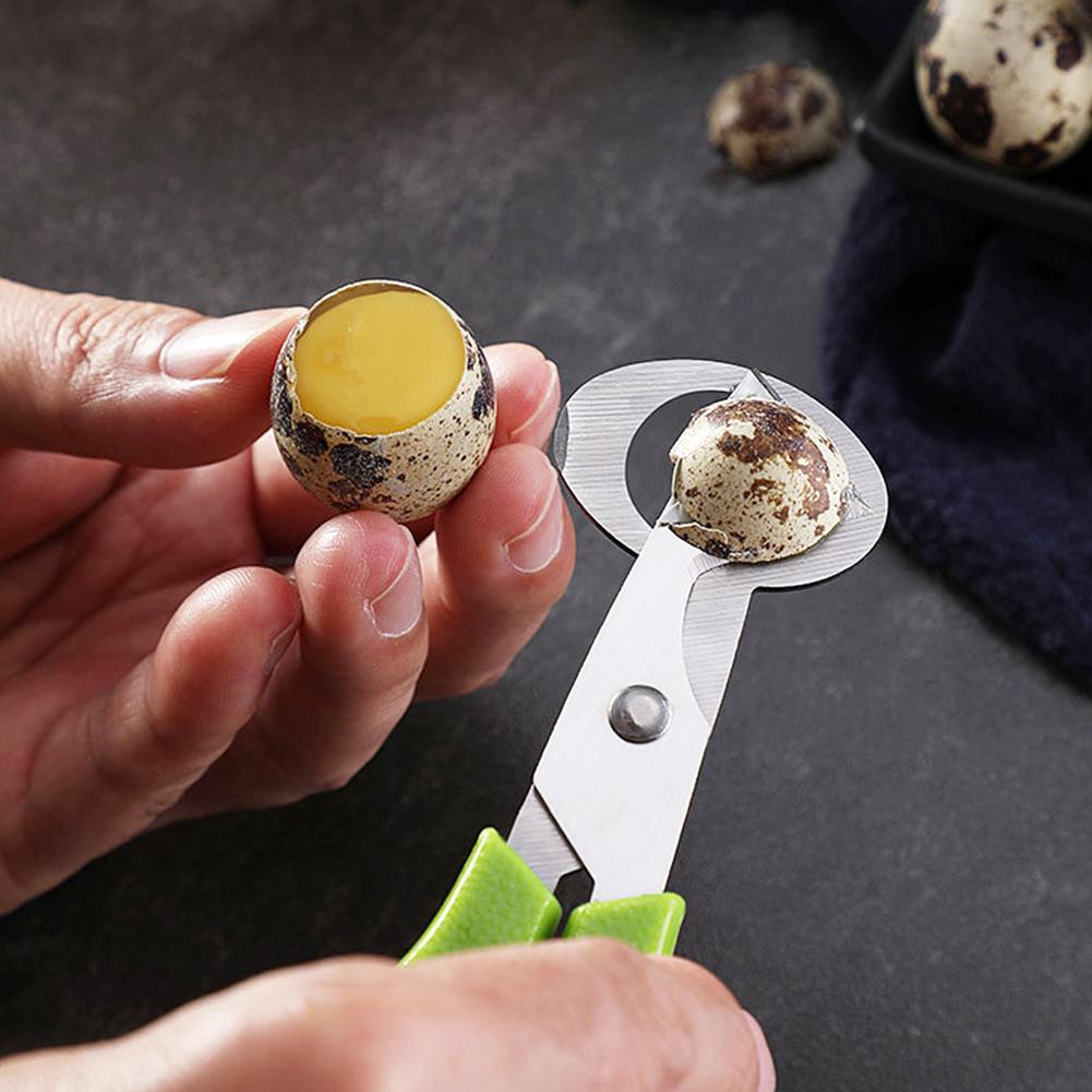 Голубь, перепел, открытая трещ – обзор и цена Egg Separator Tool